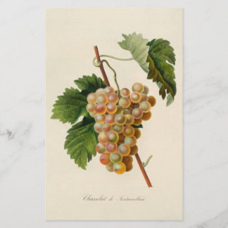 Chasselat de Fontainebleau Stationery Briefpapier