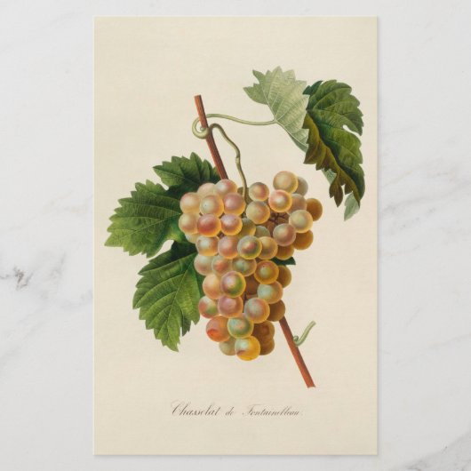 Chasselat de Fontainebleau Stationery Briefpapier (Voorkant)