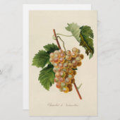 Chasselat de Fontainebleau Stationery Briefpapier (Voorkant / Achterkant)