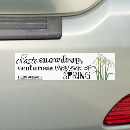 Chaste Snowdrop Bumpersticker (Op auto)