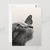 Chat et papillon briefkaart (Voorkant / Achterkant)