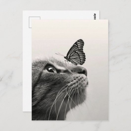 Chat et papillon briefkaart (Voorkant / Achterkant)