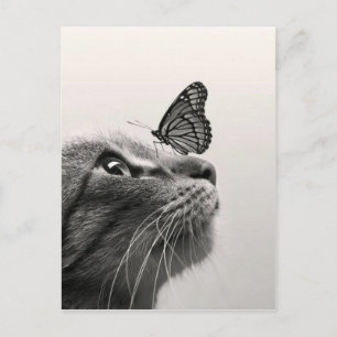 Chat et papillon briefkaart