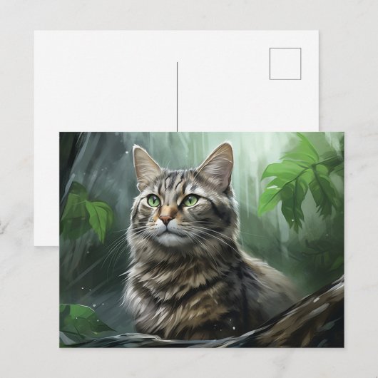 Chat Foret 3 Briefkaart (Voorkant / Achterkant)