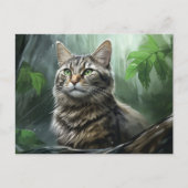 Chat Foret 3 Briefkaart (Voorkant)
