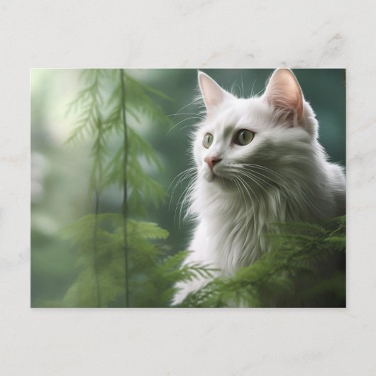 Chat Foret 7 Briefkaart (Voorkant)