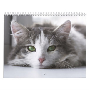 Chat-kalender kalender
