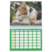 Chat-kalender Kalender (Mar 2026)
