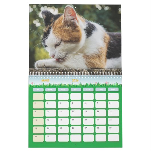 Chat-kalender Kalender (Mar 2026)