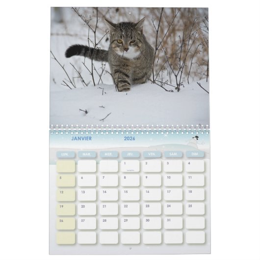 Chat-kalender Kalender (Jan 2026)