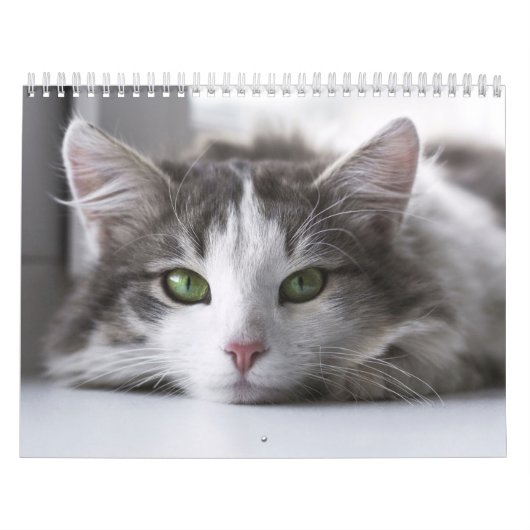 Chat-kalender Kalender (Hoes)