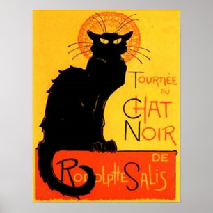 Chat Noir... Black Cat Poster