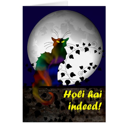 Chat Noir Holi Hai (Voorkant)