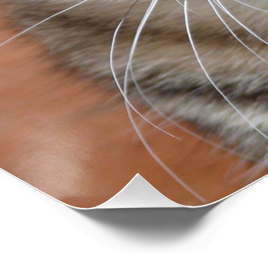 Chat Perfect Poster (Hoek)