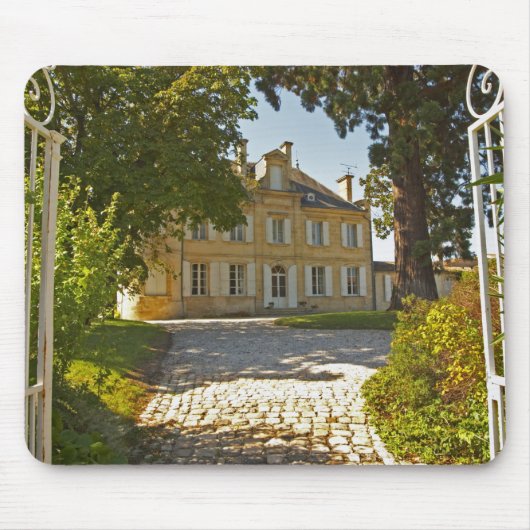 Chateau Cos Labory in Saint Estèphe, gesmeed Muismat (Voorkant)