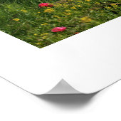 Chateau d'Amboise Poster (Hoek)