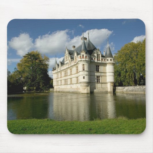 Chateau de Azay-le-Rideau, Indre-et-Loire, 2 Muismat (Voorkant)