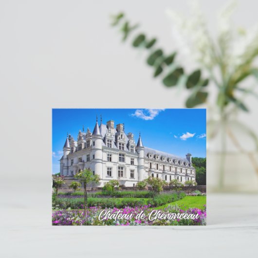 Chateau de Chenonceau, France Briefkaart (Staand voorkant)