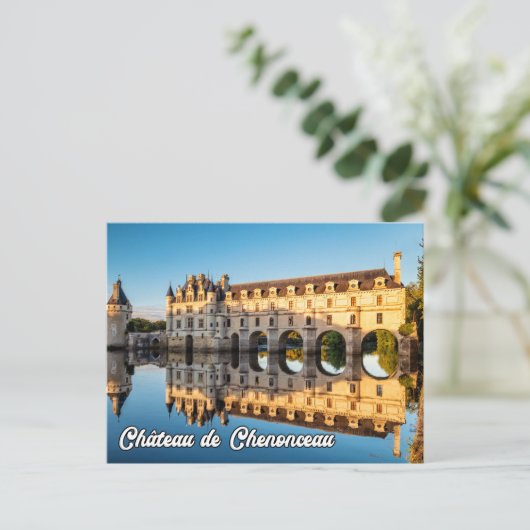 Chateau de Chenonceau, Frankrijk Briefkaart (Staand voorkant)