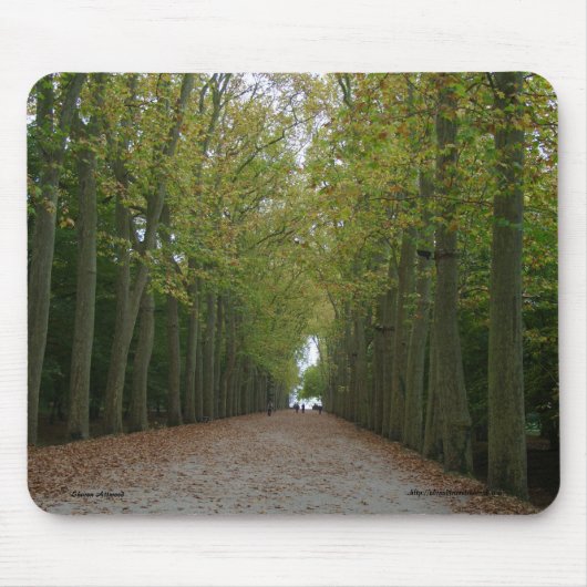 Chateau de Chenonceau Mousepad Muismat (Voorkant)