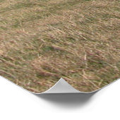 Chateau de Plains Poster (Hoek)