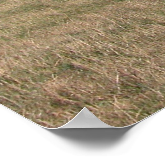 Chateau de Plains Poster (Hoek)