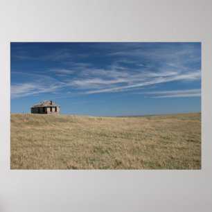 Chateau de Plains Poster
