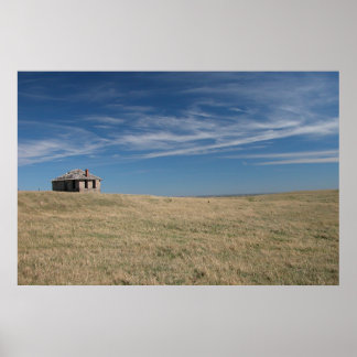 Chateau de Plains Poster