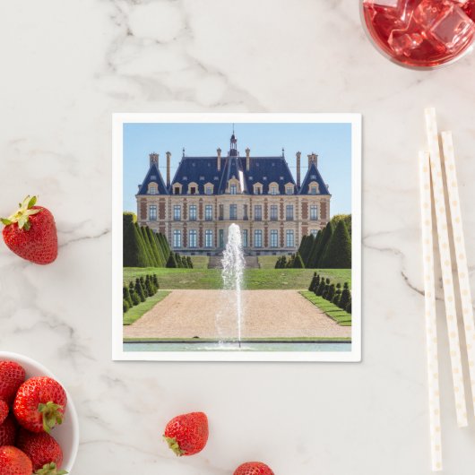 Chateau en parc de Sceaux in de zomer - Frankrijk Servet (Insitu)