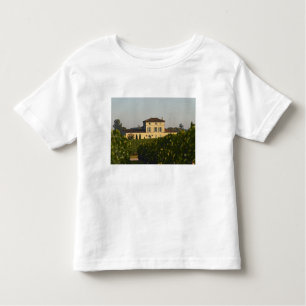 Chateau Lafleur Petrus en vineyard, in Pomerol, Kinder Shirts