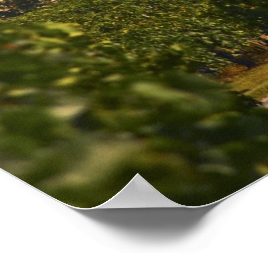 Chateau Lafleur Petrus en vineyard, in Pomerol, Poster (Hoek)