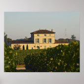 Chateau Lafleur Petrus en vineyard, in Pomerol, Poster (Voorkant)