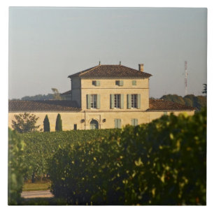 Chateau Lafleur Petrus en vineyard, in Pomerol, Tegeltje