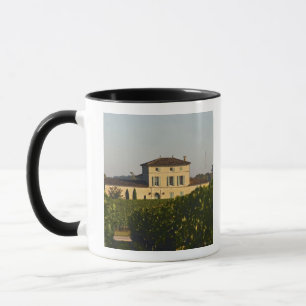 Chateau Lafleur Petrus en wijngaard, in Pomerol, Mok