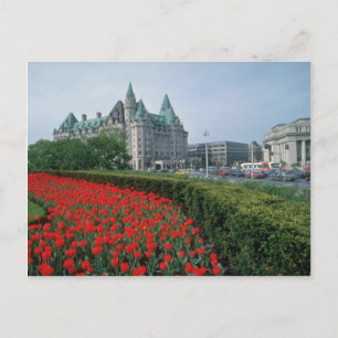 Chateau Laurier Hotel, Ottawa bloemen Briefkaart