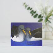 Chatham Albatross (Thalassarche eremita) Briefkaart (Staand voorkant)