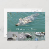 Chatham, Briefkaart met Schattigee zegels (Voorkant / Achterkant)