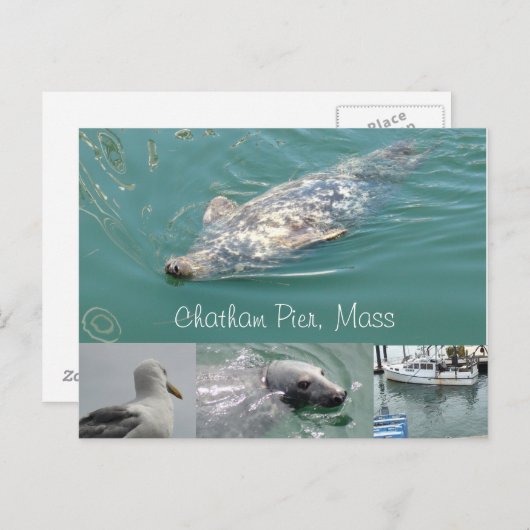 Chatham, Briefkaart met Schattigee zegels (Voorkant / Achterkant)