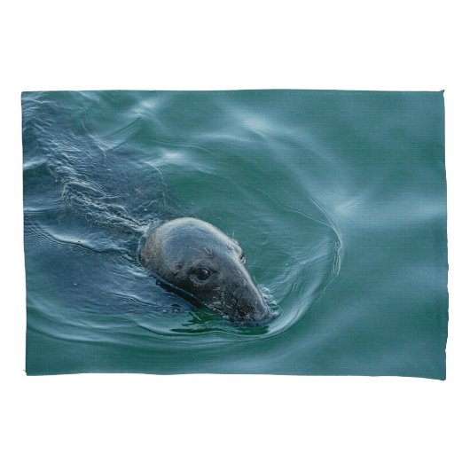 Chatham Grijze Zeehond op Missie Kussensloop (Voorkant)