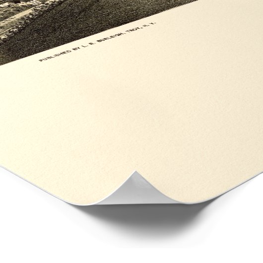 Chatham, NY Panoramic Map - 1886 Poster (Hoek)