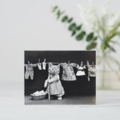 Chaton et linge briefkaart (Staand voorkant)