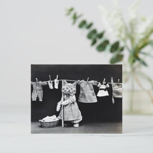 Chaton et linge  briefkaart (Staand voorkant)