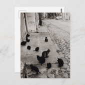 Chats Bercy - Paris - 1974 - Robert Doisneau Briefkaart (Voorkant / Achterkant)