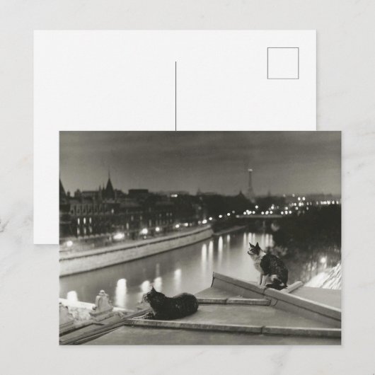 Chats la nuit - Paris - 1954 - Robert Doisneau Briefkaart (Voorkant / Achterkant)
