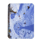Chatsworth winterschaduwen 2013 magneet (Verticaal)