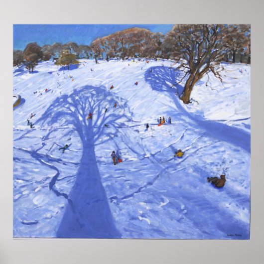 Chatsworth winterschaduwen 2013 poster (Voorkant)