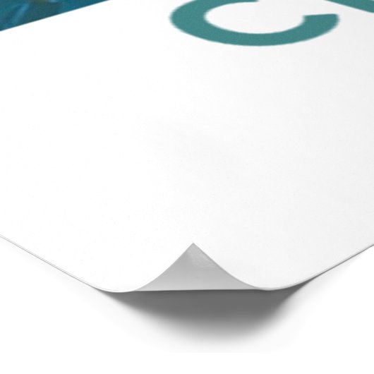 Chattahoochee River, Georgia Poster (Hoek)