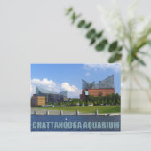 Chattanooga Aquarium Briefkaart (Staand voorkant)