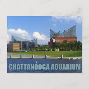 Chattanooga Aquarium Briefkaart