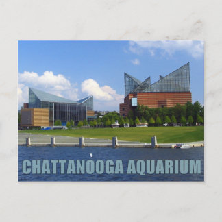 Chattanooga Aquarium Briefkaart